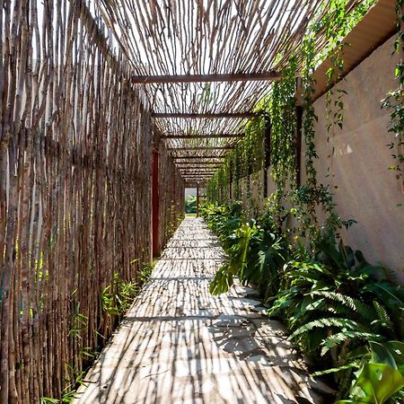Natu Boutique Stays São Miguel dos Milagres Buitenkant foto